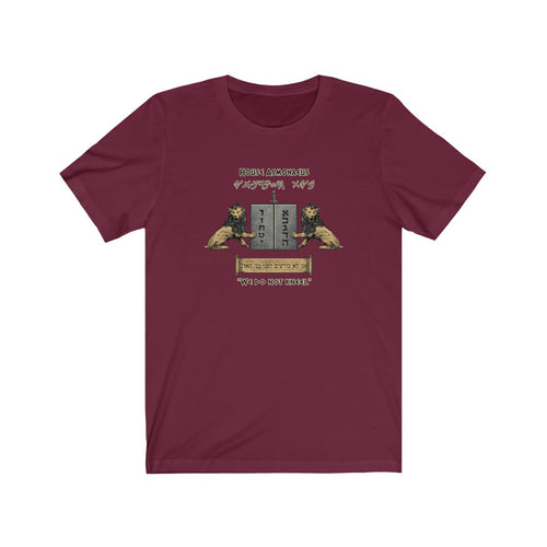House Asmonaeus T-Shirt - Maccabee Apparel